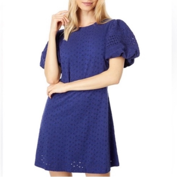 Free People Puff Sleeve Cut Out Tie Back Eyelet Lace Mini Dress Feminine Size XL - Picture 5 of 12